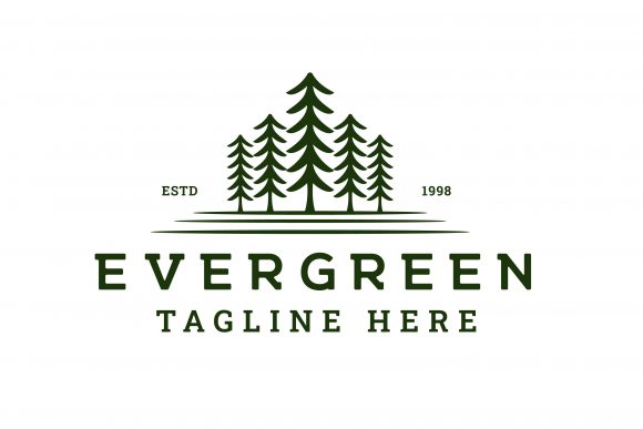 Embrace Nature: The Pine, Spruce Tree Vintage Hipster Logo